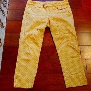 Idra yellow sz 2 capris